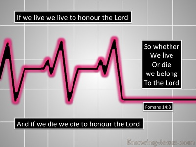 Romans 14:8 Live and Die to the Lord (gray)